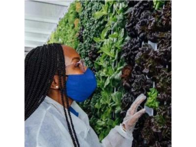 Get In Touch With US For Buying UK Hydroponics Online