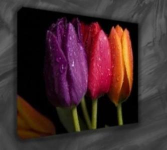 Affordable Photos onto Canvas Service