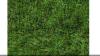 Enjoy Year-Round Greenery with Cordoba 40mm Artificial Grass
