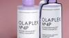 OLAPLEX No4P BLONDE ENCHANCER TONING SHAMPOO - Agloryhairandcosmetics