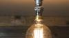 The Beauty of Incandescent Bulbs