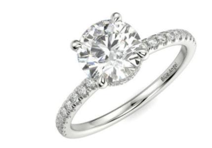Round Hidden Halo Engagement Ring (Hidden Halo)