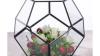 Buy Black Terrarium Ball At A Very Reasonable Price