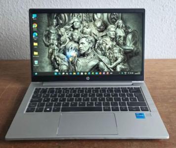 HP ProBook FAST Professional FAST