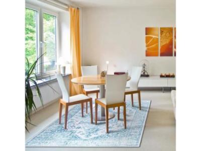 Reasons To Choose Washable Indoor Rugs!