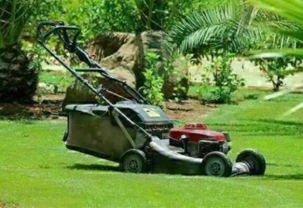 Experienced WD3 Gardener Gardening Tree Grass Cutting Landscaping Fence Patio Anywhere London & M25