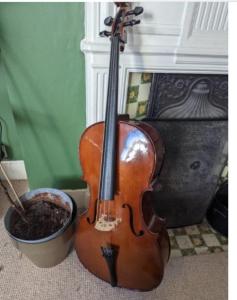 Cello Stentor Student 1/2 size + Case