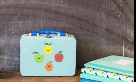 Durable Document Organization with Minerva Loose Leaf Polypropylene Cases