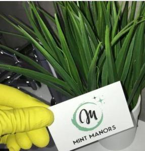MINT MANORS professional cleaning services covering all areas in south west London
