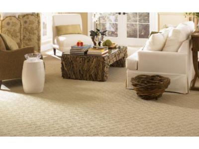 carpet cleaning services