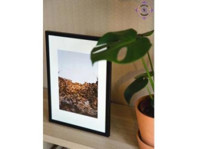 Rectangle Multi Color Frame A4