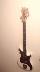 Nordstrand Audio Acinonyx "Cat Bass"
