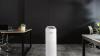 Top Air Purifier for Large Office
